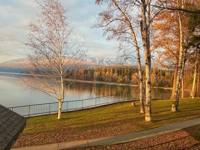 view of yard featuring a water and mountain view