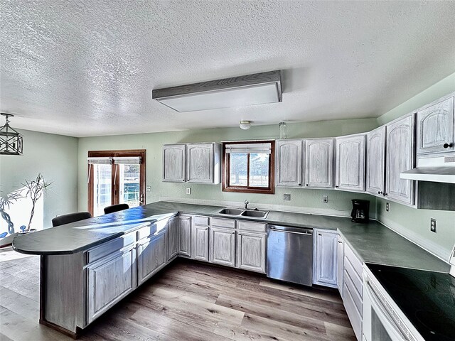 kitchen featuring kitchen peninsula, light wood-type flooring, sink, and stainless steel dishwasher