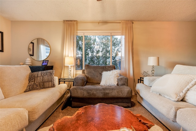 living room with a textured ceiling