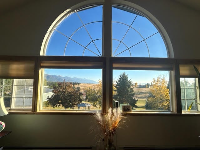 details with a mountain view and a baseboard radiator