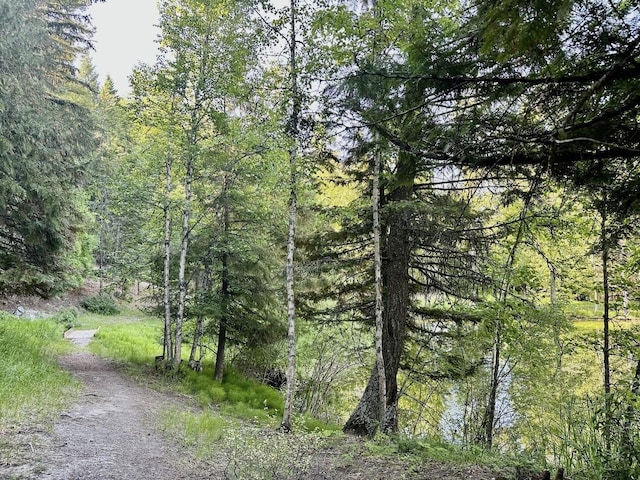 45 Alder Way Unit 3C, Whitefish, MT 59937 - view of woods