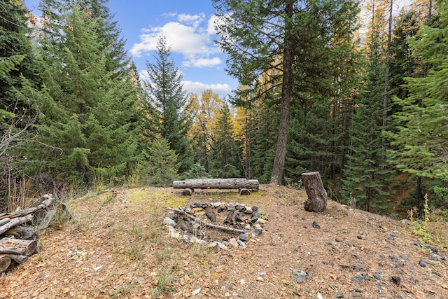 2197 W Tower Rd, Saltese, MT 59867 - view of yard featuring a forest view