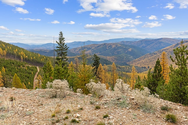 2197 W Tower Rd, Saltese, MT 59867 - view of mountain background with a forest