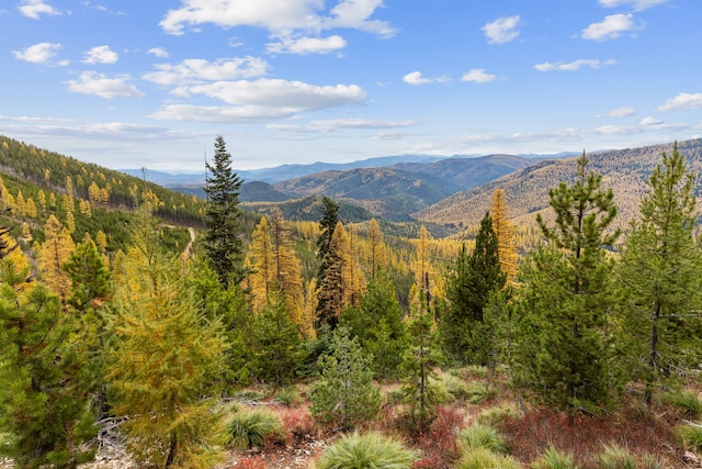 2197 W Tower Rd, Saltese, MT 59867 - view of mountain background with a heavily wooded area