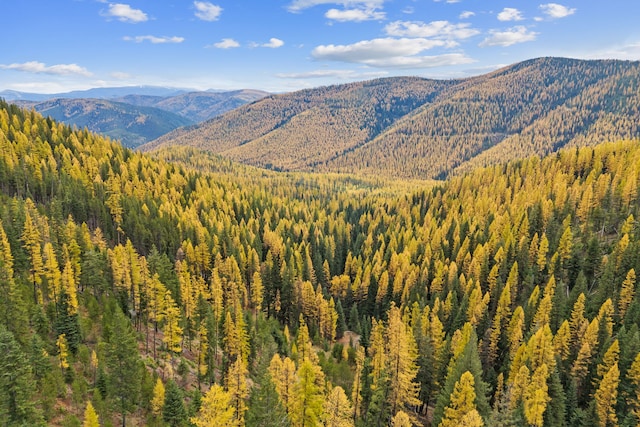 2197 W Tower Rd, Saltese, MT 59867 - view of mountain background featuring a heavily wooded area