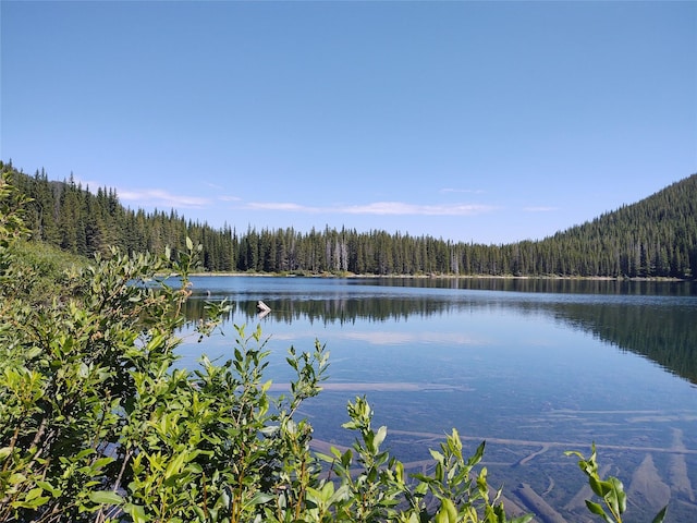 2197 W Tower Rd, Saltese, MT 59867 - water view featuring a forest