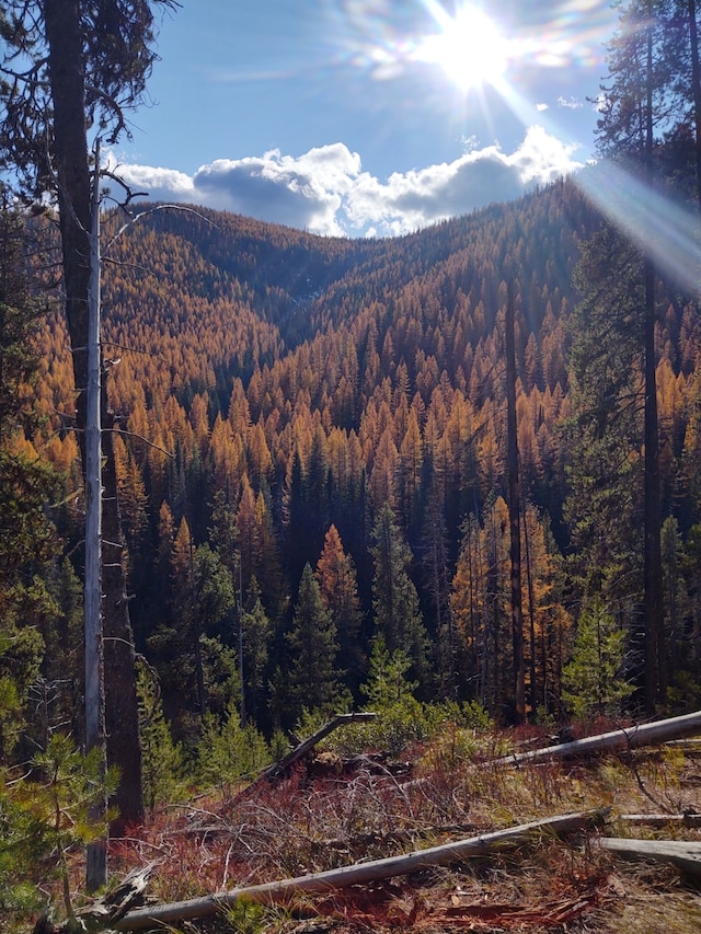 2197 W Tower Rd, Saltese, MT 59867 - view of mountain backdrop featuring a forest
