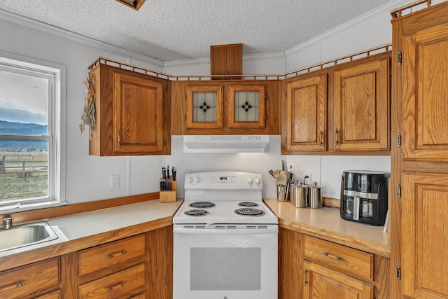 kitchen featuring crown molding, a textured ceiling, and electric stove