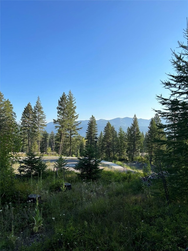 448 Highline Ct, Whitefish, MT 59937 - mountain view with a forest