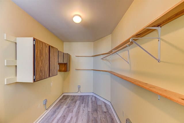 420 Knight St, Helena, MT 59601 - spacious closet featuring light wood-style floors