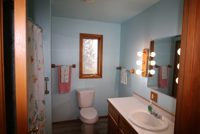 bathroom featuring toilet, vanity, and wood-type flooring