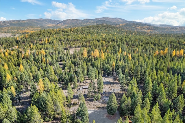 572 Brookie Way, Libby MT, 59923 land for sale