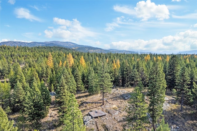 572 Brookie Way, Libby, MT 59923