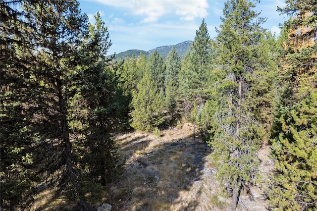572 Brookie Way, Libby, MT 59923