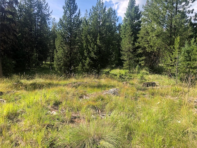 572 Brookie Way, Libby, MT 59923