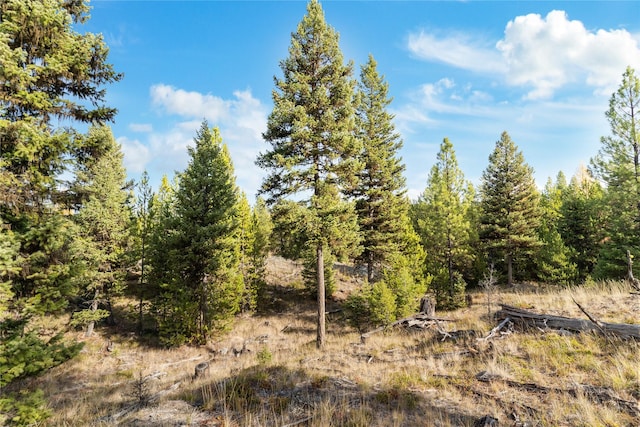 572 Brookie Way, Libby, MT 59923