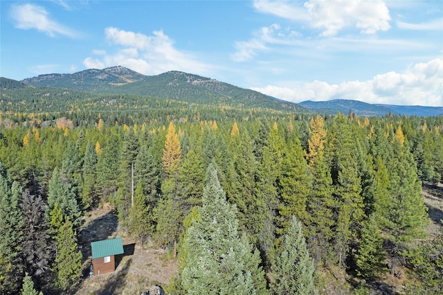 572 Brookie Way, Libby, MT 59923