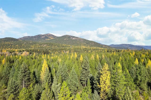 572 Brookie Way, Libby, MT 59923