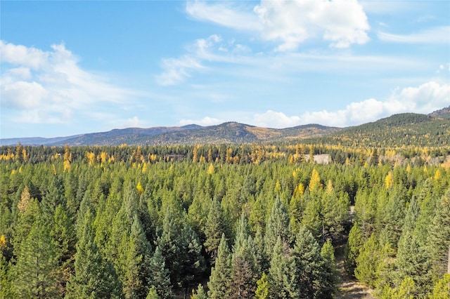 572 Brookie Way, Libby, MT 59923