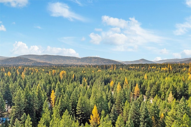 572 Brookie Way, Libby, MT 59923