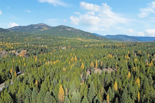572 Brookie Way, Libby, MT 59923