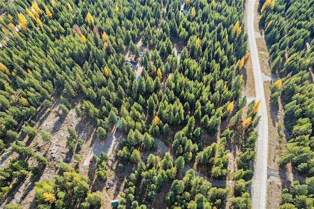 572 Brookie Way, Libby, MT 59923