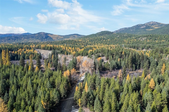 572 Brookie Way, Libby, MT 59923