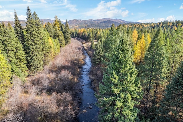 572 Brookie Way, Libby, MT 59923