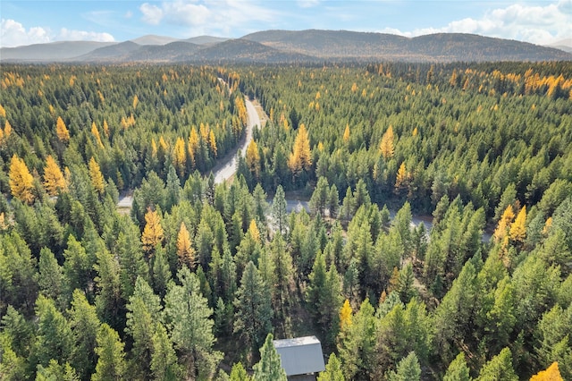 572 Brookie Way, Libby, MT 59923