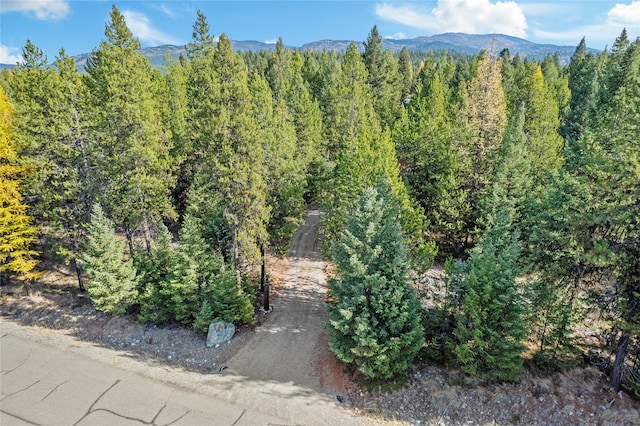 572 Brookie Way, Libby, MT 59923
