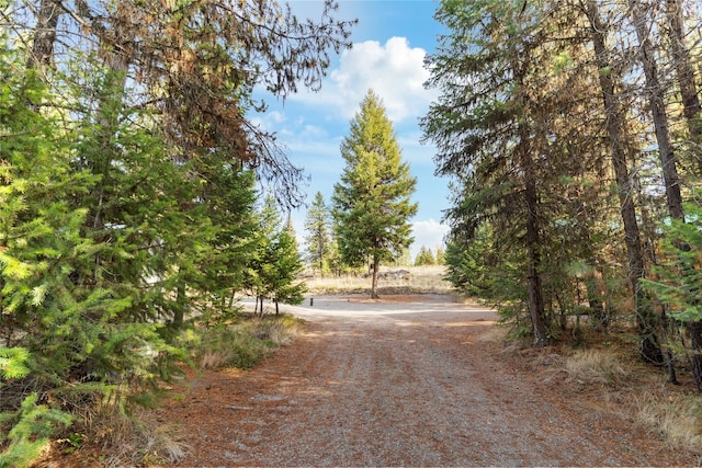 572 Brookie Way, Libby, MT 59923