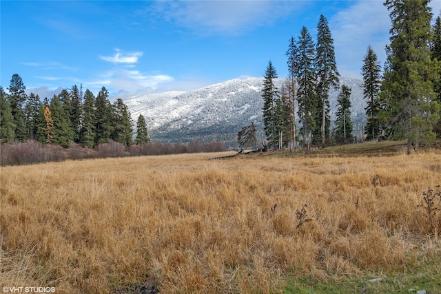 view of mountain feature