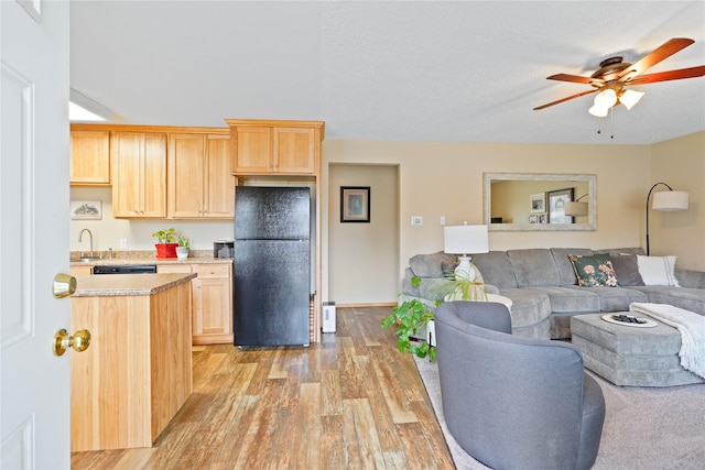 310 N Walnut St, Townsend, MT 59644 - living room featuring a ceiling fan and light wood-style floors