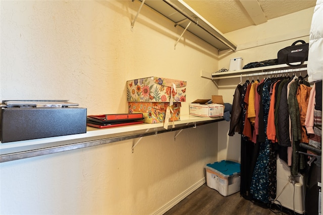 spacious closet featuring dark hardwood / wood-style flooring