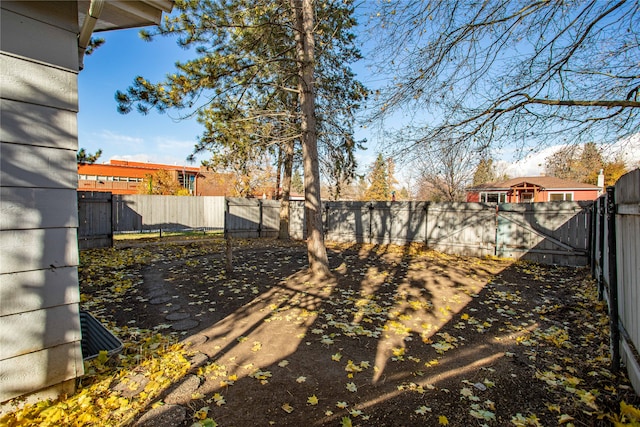 view of yard with a patio