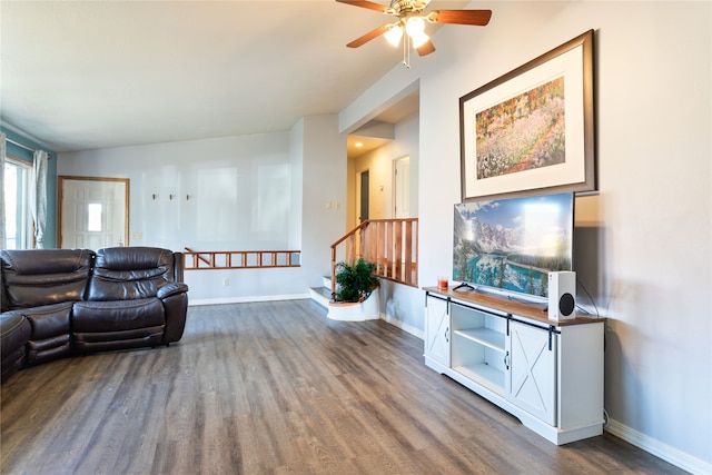 living room featuring ceiling fan and dark hardwood / wood-style flooring