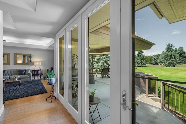 doorway featuring french doors and light hardwood / wood-style floors