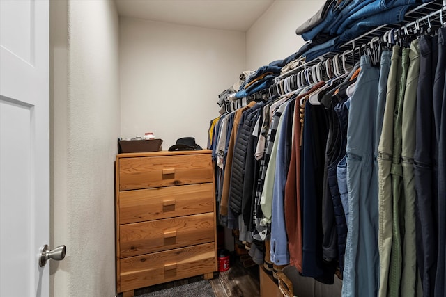 spacious closet with dark hardwood / wood-style floors