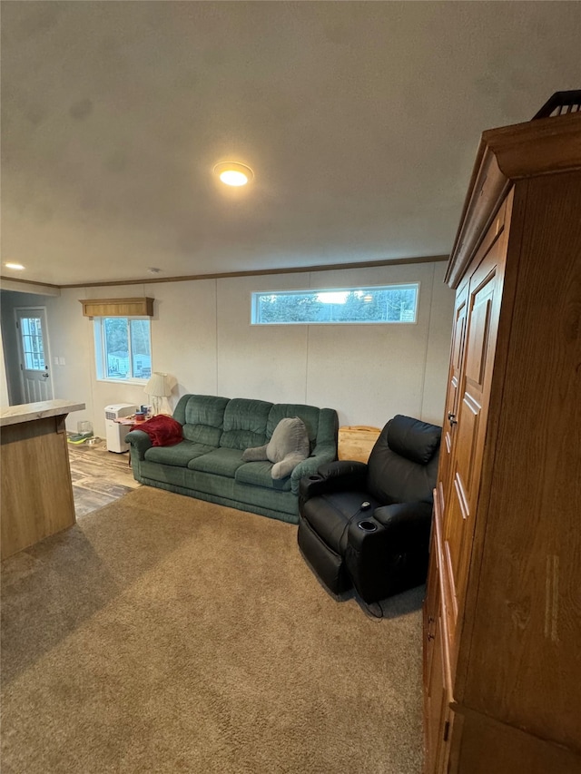 living room with light colored carpet, a healthy amount of sunlight, and crown molding