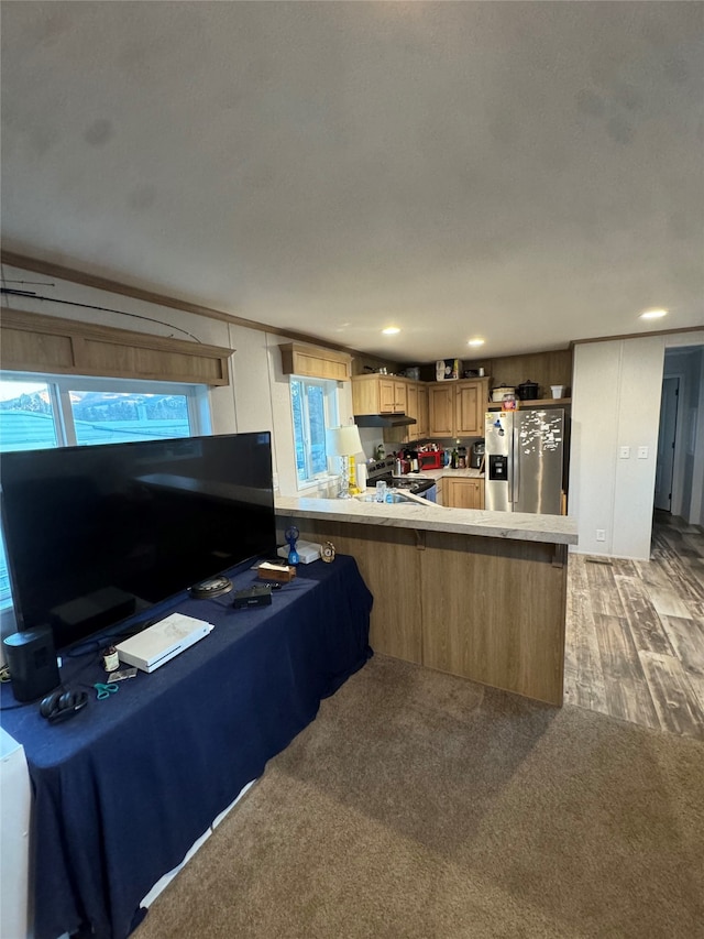 kitchen featuring kitchen peninsula, appliances with stainless steel finishes, light carpet, and plenty of natural light