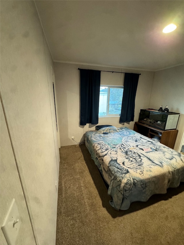 carpeted bedroom with crown molding