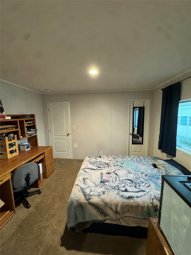 view of carpeted bedroom