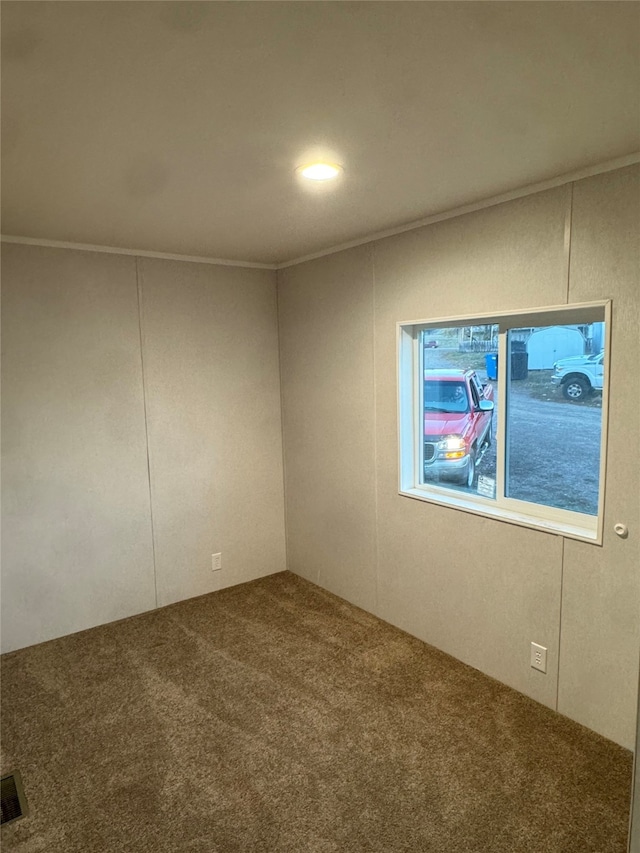 empty room featuring ornamental molding and carpet floors