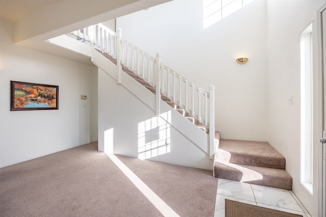 stairs with a high ceiling and carpet flooring