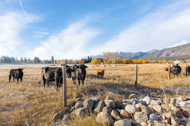 mountain view featuring a rural view