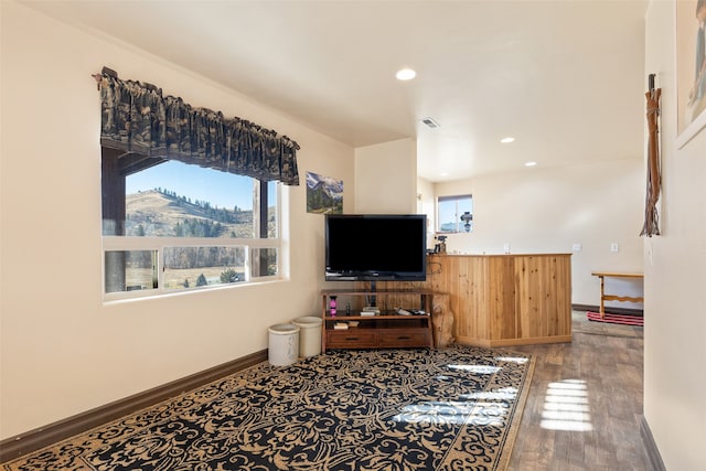 living room with hardwood / wood-style flooring