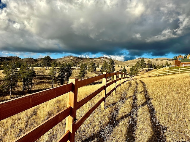 view of yard featuring a mountain view and a rural view