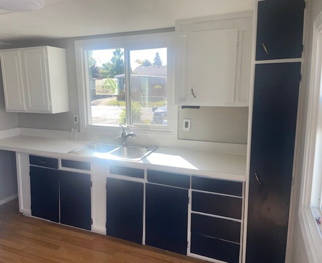 kitchen featuring white cabinetry, hardwood / wood-style floors, and sink