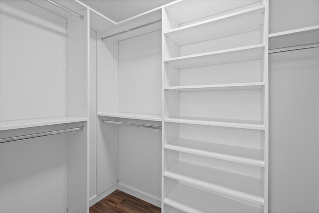 walk in closet with dark hardwood / wood-style floors