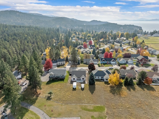 aerial view with a mountain view